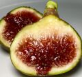 Fig Cuttings
