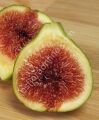 Green Ischia fig cutting