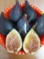 Violetta Gigante incir çeliği