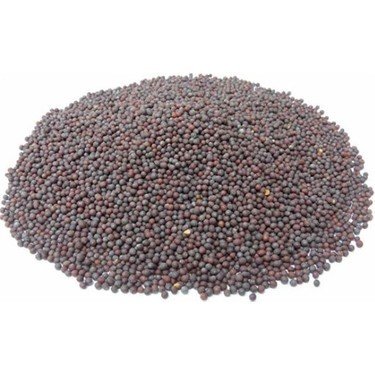 Siyah Hardal Tohumu 100 Gr