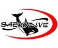Saekodive
