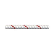 BEAL SPELENIUM  10MM X 100M STATIK IP