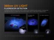FENİX LD02 V2.0 UV 70 LÜMEN EL FENERİ