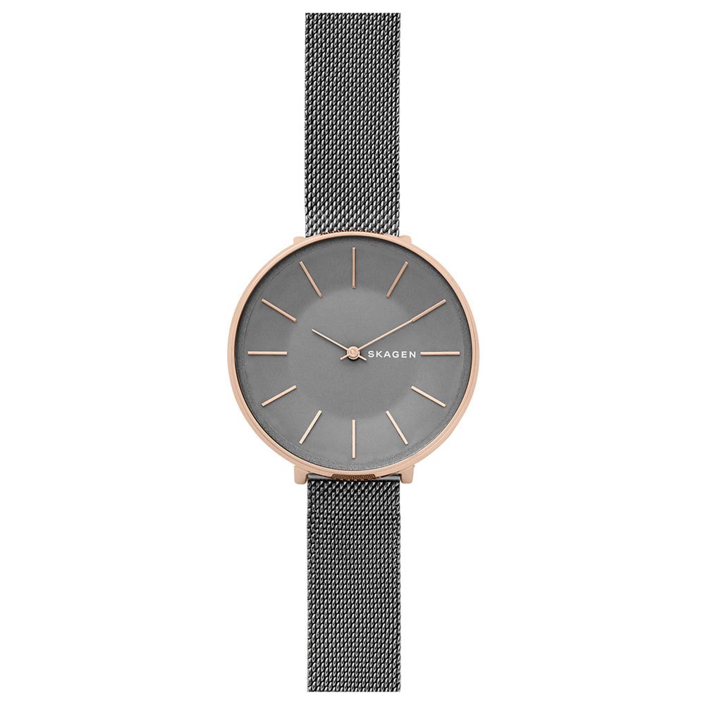 Skagen SKW2689 Bayan Kol Saati