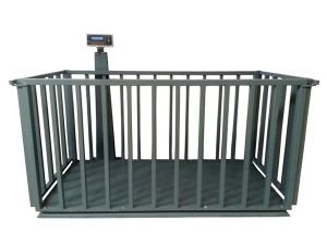 Büyükbaş Hayvan Baskülü  100x200 - 3 Ton