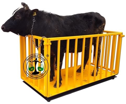 Canlı Hayvan Baskülü 2X1 CM  1.500 Kg