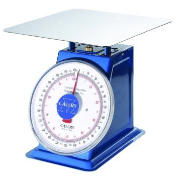100 KG Mekanik İbreli Terazi