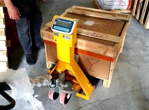 Tem Onaylı Transpalet Baskül 2 Ton Şarjlı