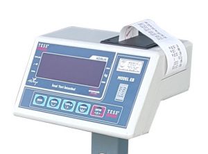 Tess Elektronik Yazıcılı Baskül 40x50 cm - 150 kg