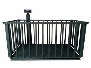 Büyükbaş Canlı Hayvan Baskülü  110x220 - 3 Ton