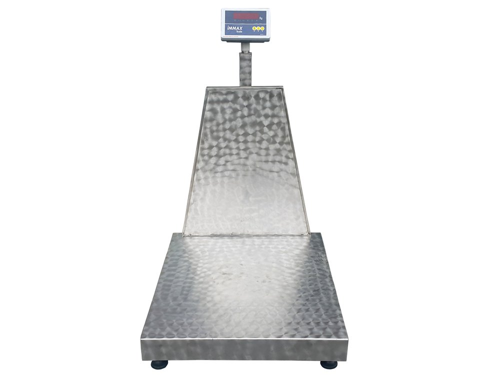 Paslanmaz Platform Baskül 80x90 cm 600 kg