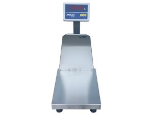 Paslanmaz Platform Baskül 40x50 cm 150 kg