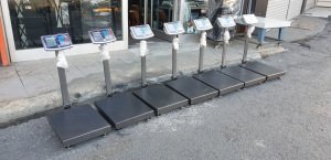 Kurban Hisseleme Hisse Pay Baskülü 300 Kg 40x50 Cm