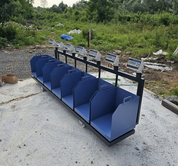 İmmax Kurban Hisseleme Hisse Pay Baskülü 150 kg 40x50 cm
