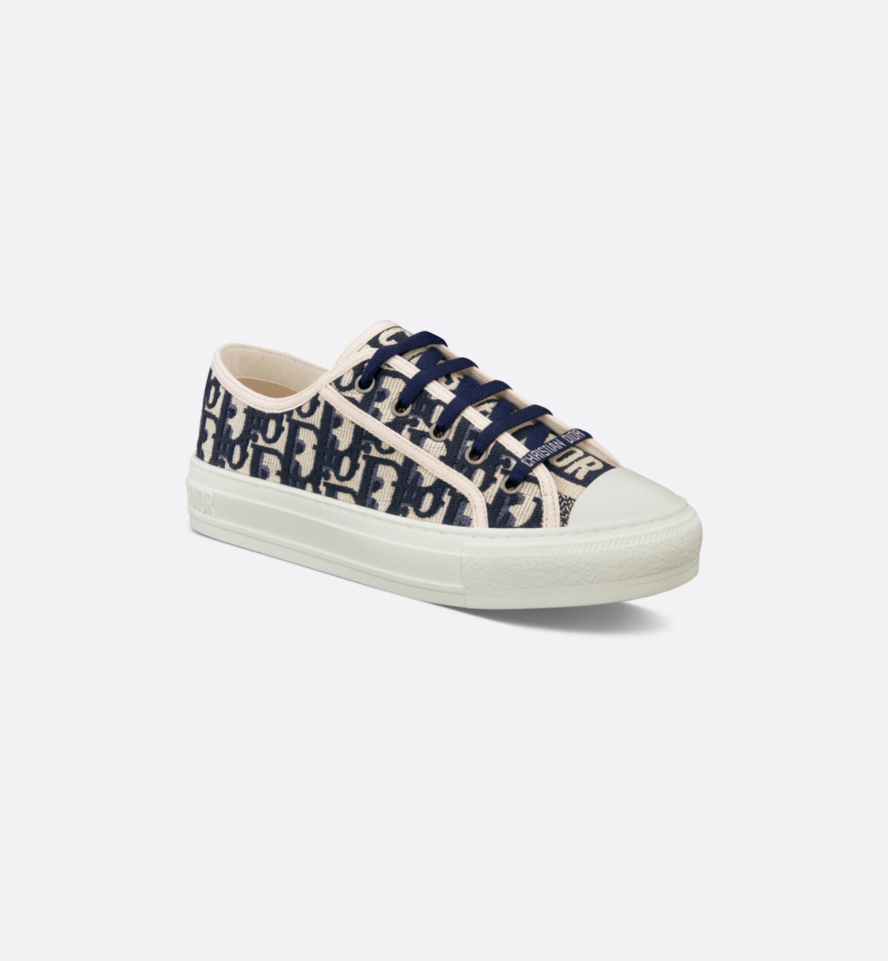 Buy dior shoes online hot sale