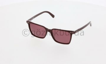 Swarovskı SK0355 69S Kadın Güneş Gözlüğü