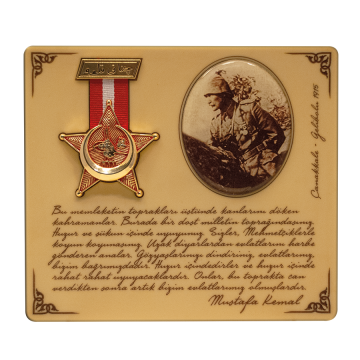 Atatürk ve Çanakkale Madalyası (Tablo)