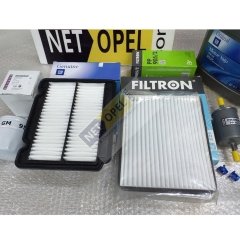 Chevrolet Aveo Filtre Bakım Seti Motor Yağlı 1.4 Motor 2006-2008 GM - FİLTRON