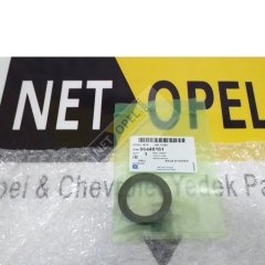 Opel Antara Eksantrik Keçesi 2.0 Motorlar GM