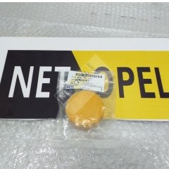 Chevrolet Lacetti Radyatör Su Deposu Kapağı GM