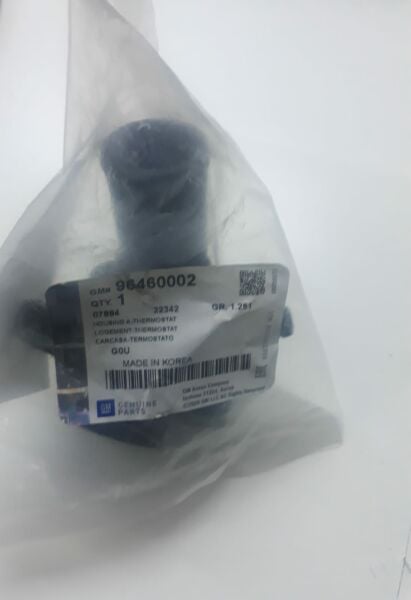 Chevrolet Rezzo Termostat GM
