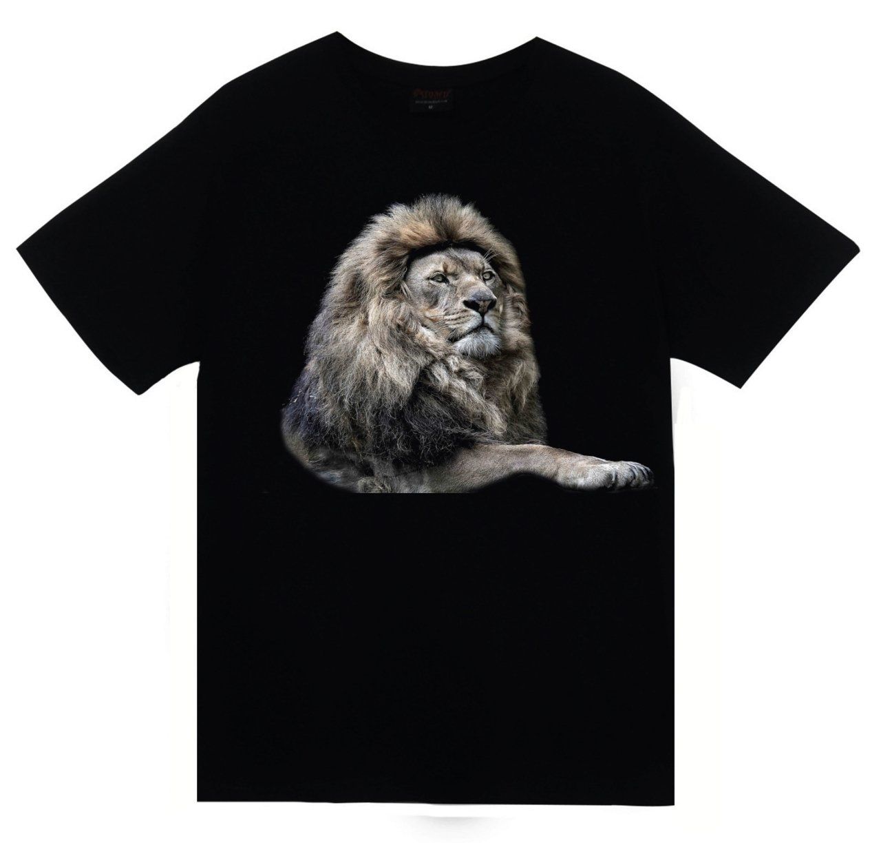 Aslan Baskılı T-shirt