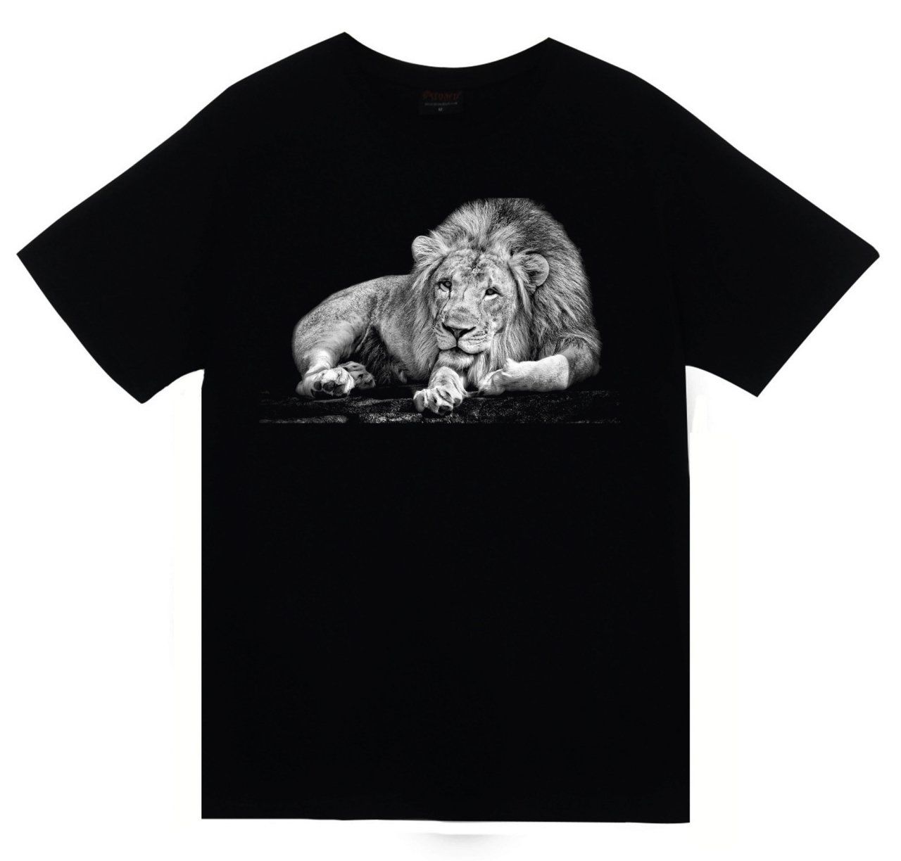 Aslan Baskılı T-shirt