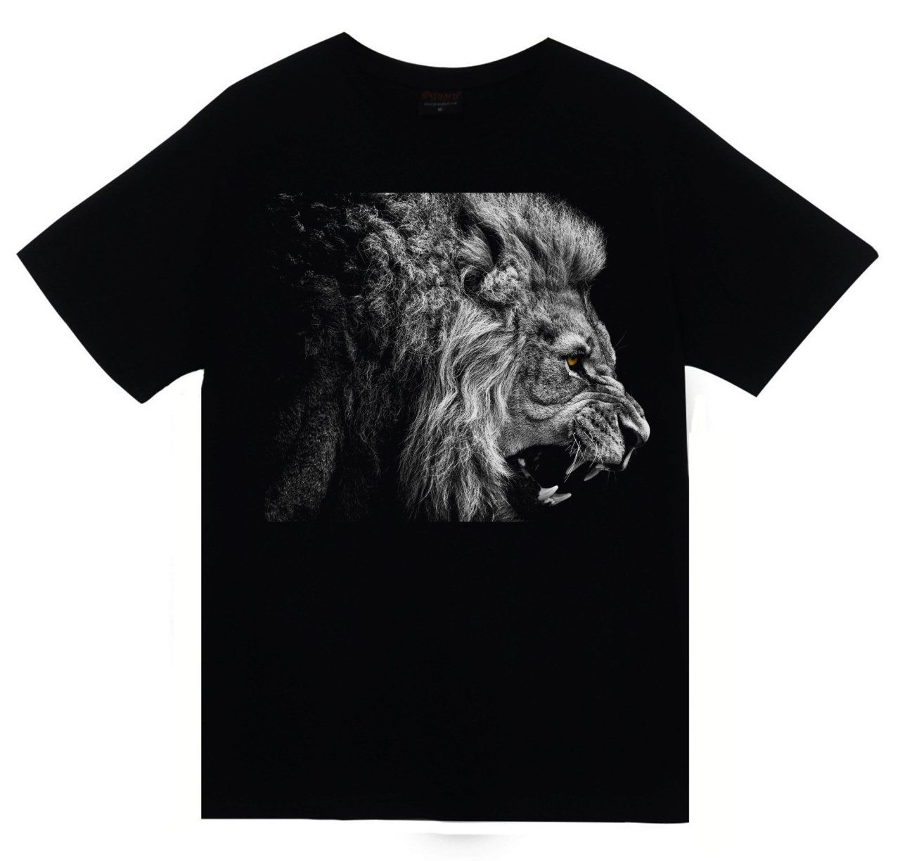 Aslan Baskılı T-shirt
