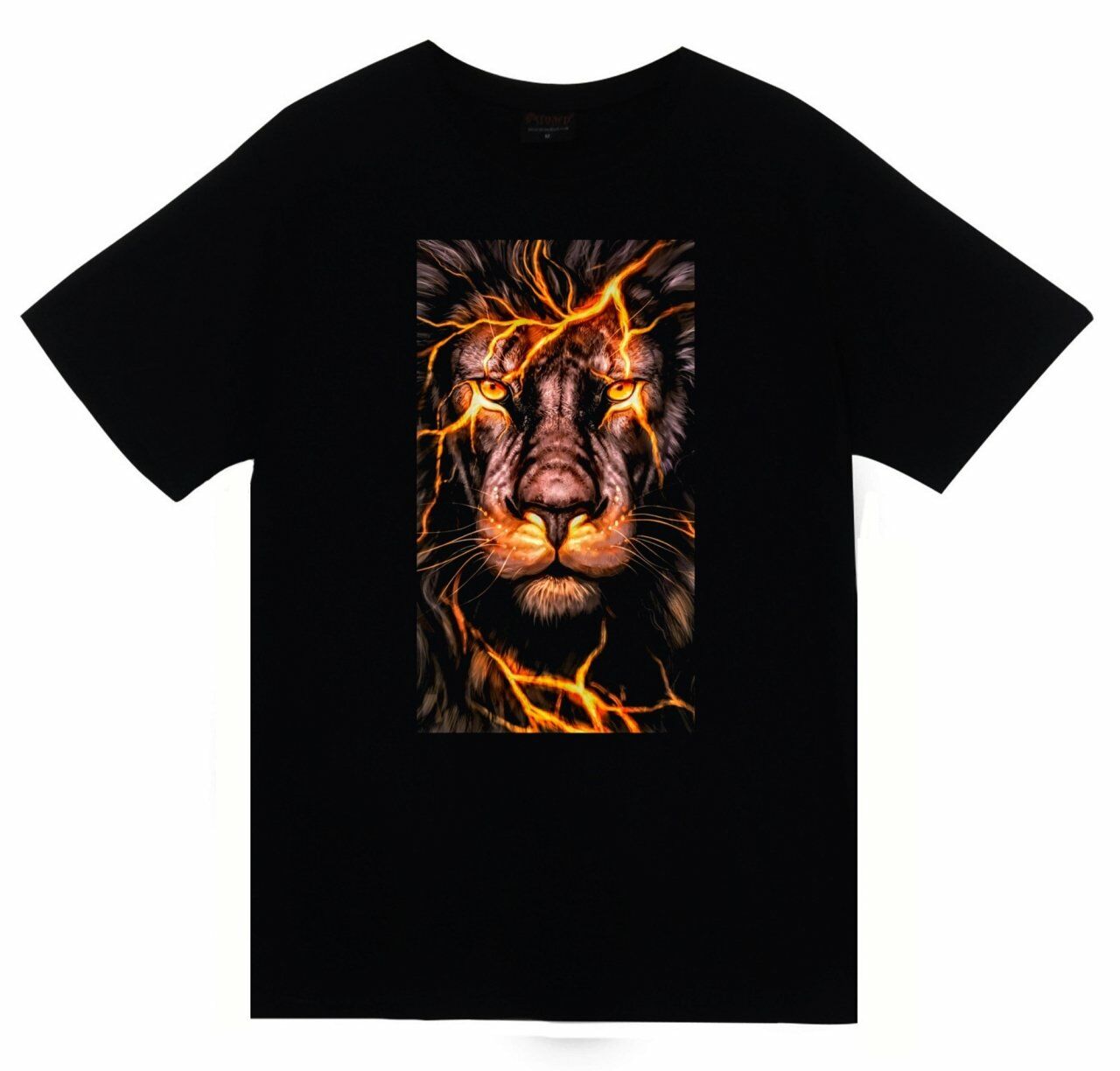Aslan Baskılı T-shirt