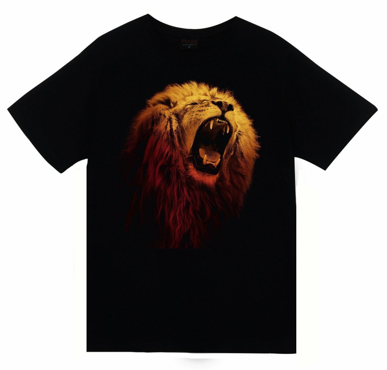 Aslan Baskılı T-shirt