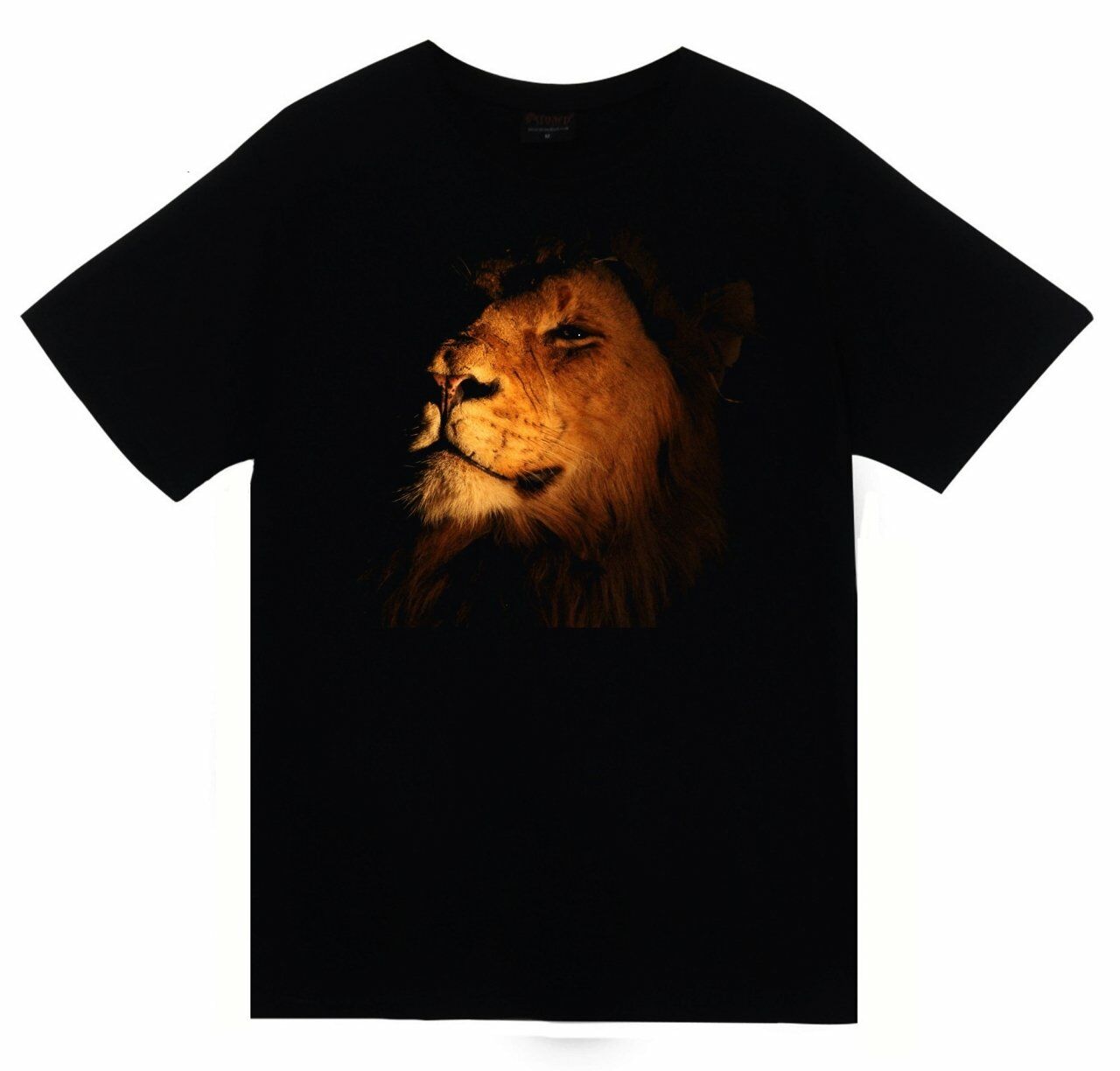 Aslan Baskılı T-shirt