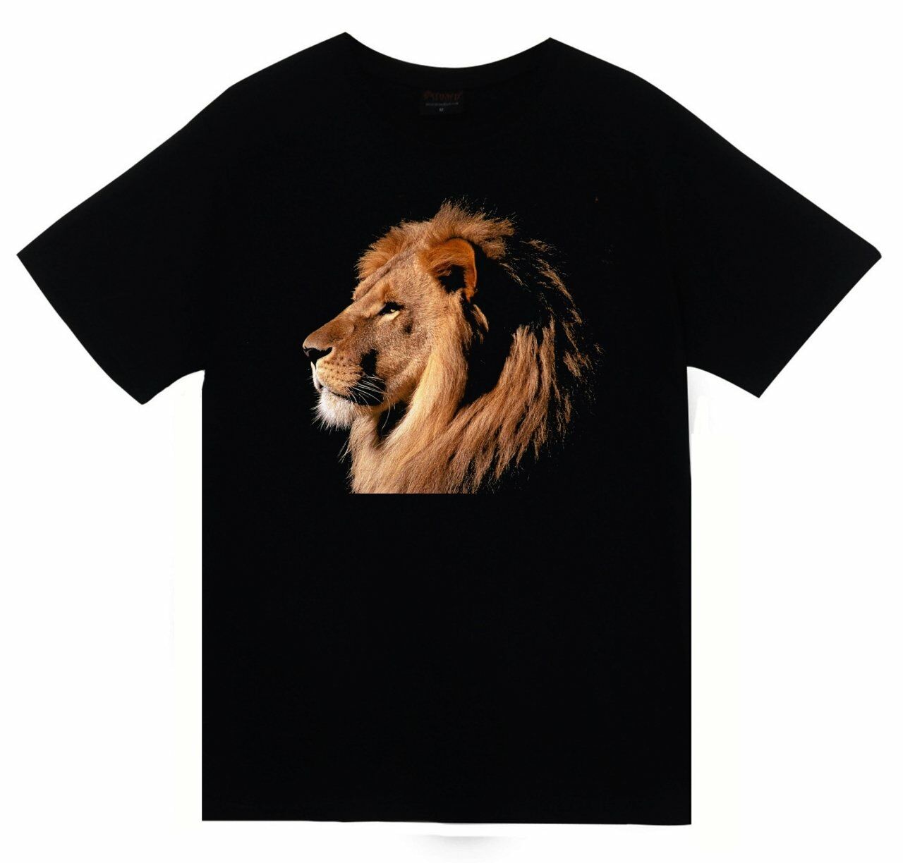 Aslan Baskılı T-shirt