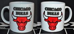 CHICAGO BULLS