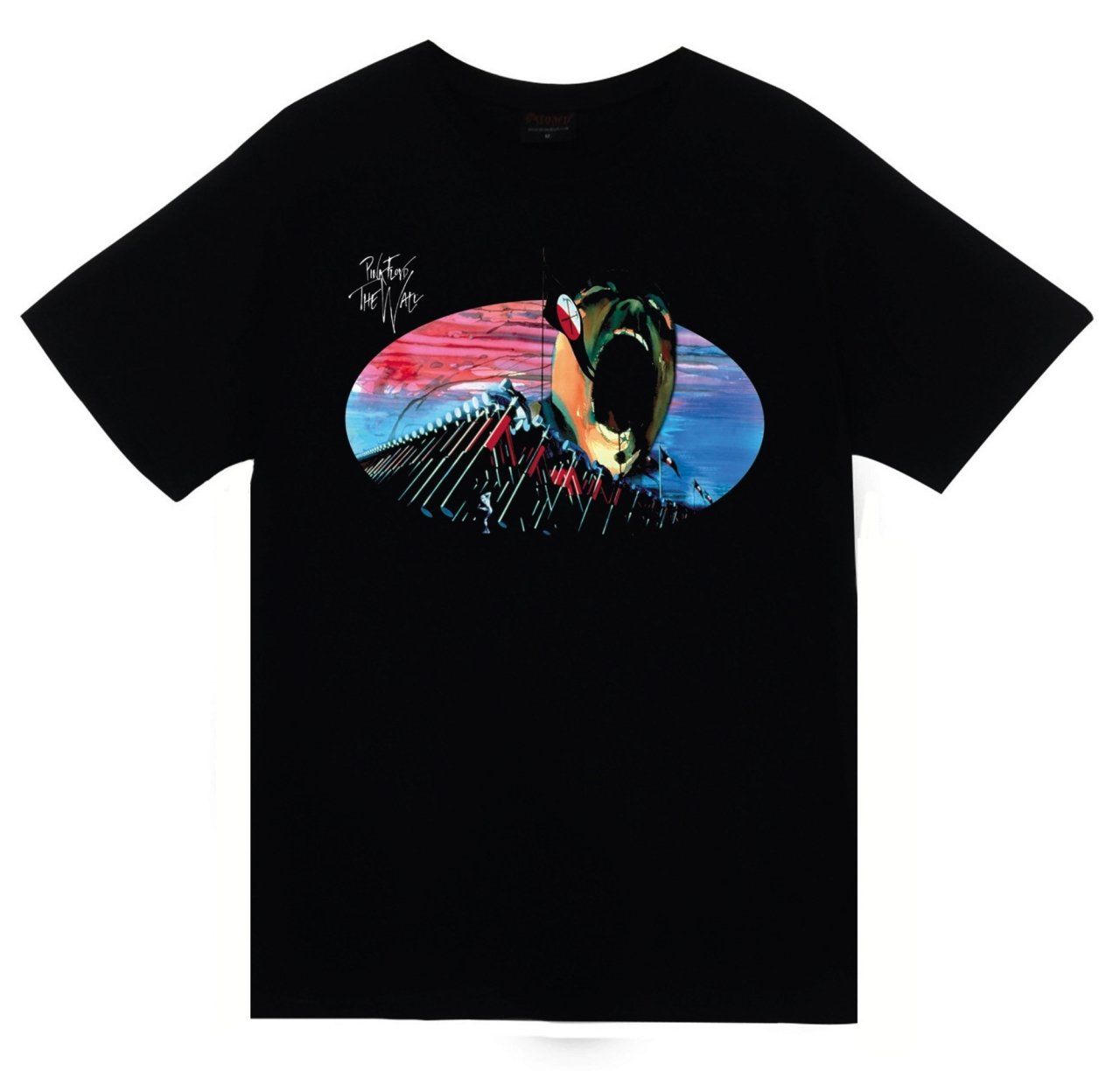 Pink Floyd Baskılı T-shirt