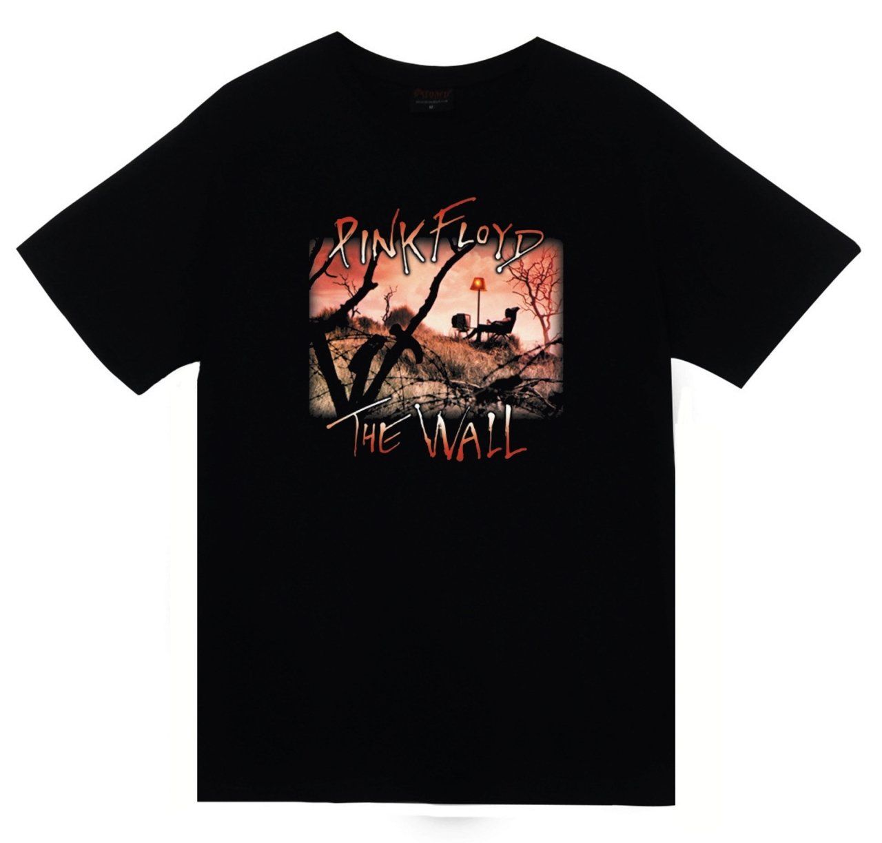 Pink Floyd Baskılı T-shirt