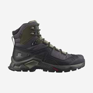 Salomon Quest Element GTX Trekking Botu