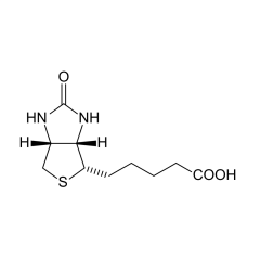 Biotin B7 Vitamini 10 g