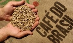 Brezilya Rio Minas Es Olam Arabica Çiğ Kahve Çekirdeği 1 kg