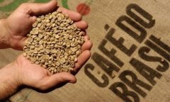 Brezilya Rio Minas Es Unicafe Arabica Çiğ Kahve Çekirdeği 1 kg