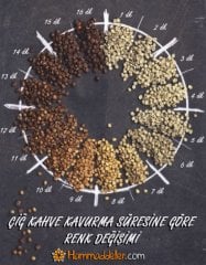Etiyopya Sidamo Arabica Çiğ Kahve Çekirdeği 1 kg