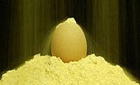 Bütün Yumurta Tozu 15 kg