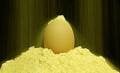 Bütün Yumurta Tozu 15 kg