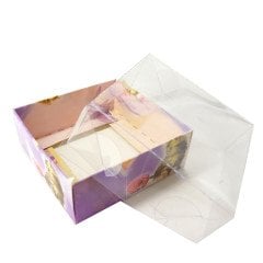 Caja Acetato Gato 8x8x3 cm 10 uds