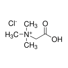 Betain Hidroklorid 100 g