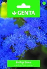 Mavi Vapur Dumanı Çiçek Tohumu