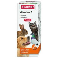 Beaphar Vıtamin B Pet Vitamini Skt:05/23