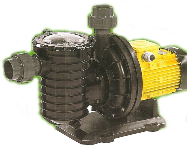 5.5 hp (4 kw) / 380V Ön Filtreli Havuz Pompası Atlas