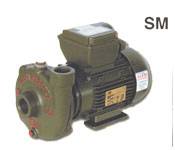 SM - 0,50 Hp(0,37kw) Monofaze 220 Volt Alem Bertola