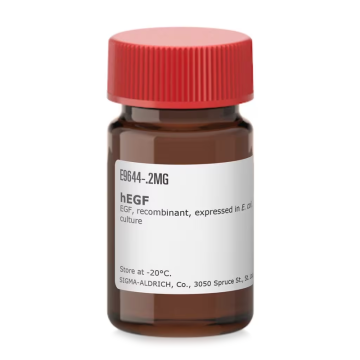 Sigma Aldrich E9644 hEGF EGF, recombinant, expressed in E. coli, lyophilized powder, suitable for cell culture 5 x 0.2 mg