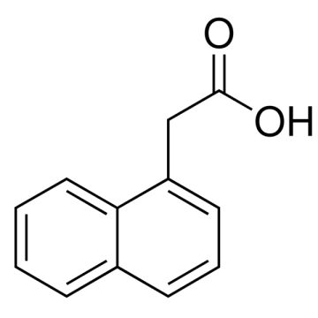 AFG Bioscience 149348 Alpha-Naphthaleneacetic acid 2.5  kg